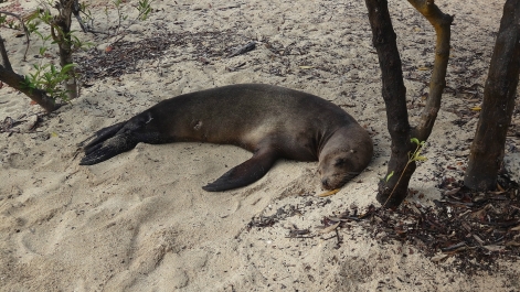 photo 946550