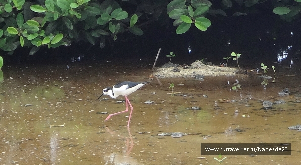 photo 946564