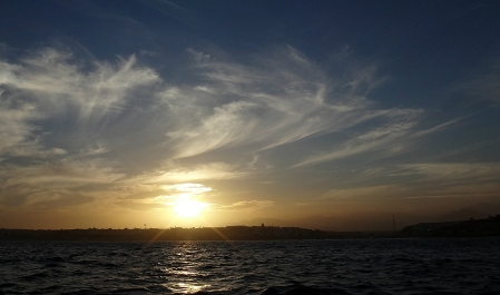 photo 974724