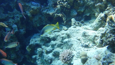 photo 971733