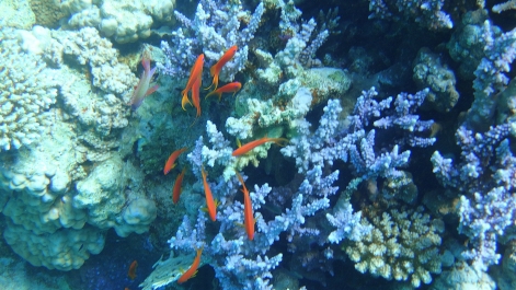 photo 971739