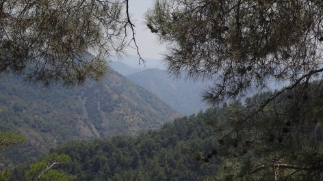 photo 1094034