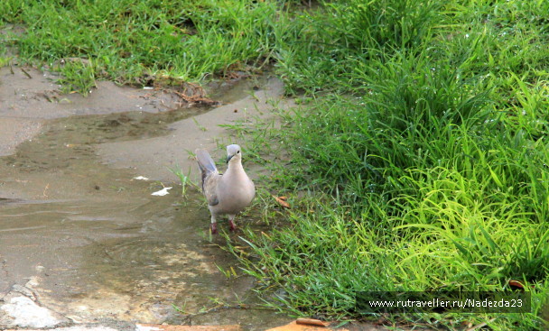 photo 1118184