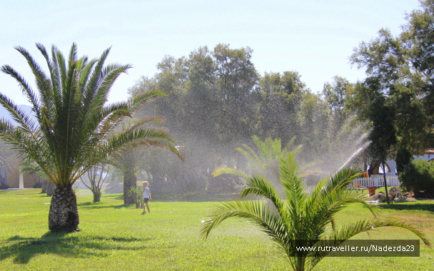 photo 588788