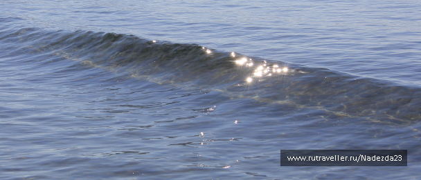 photo 588790