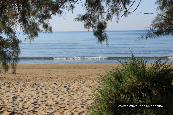 photo 588791