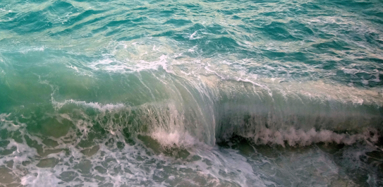 photo 1224402
