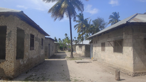 photo 1248653