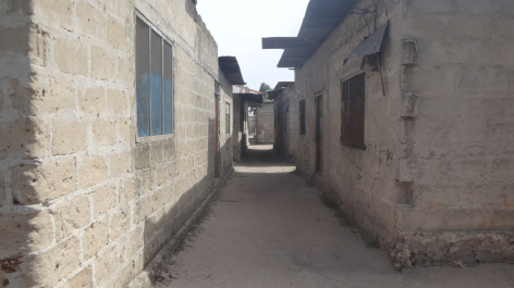 photo 1248654