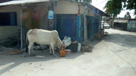 photo 1248674