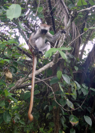 photo 1248680