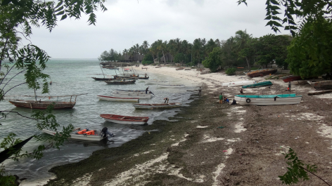 photo 1248689