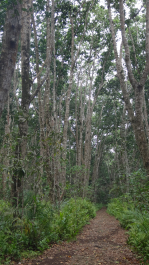 photo 1248684