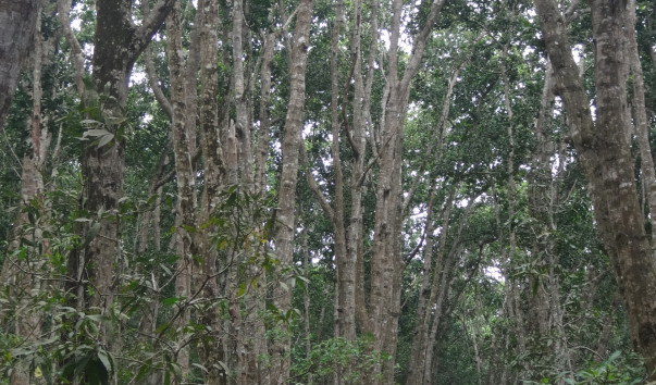 DSC02148