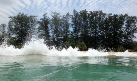 photo 1271017