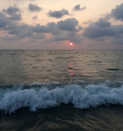 photo 1278615