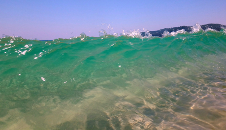 photo 1310840