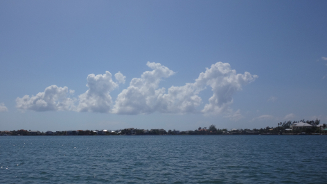 photo 1464510