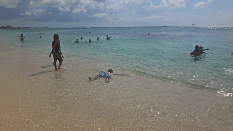 photo 1464520