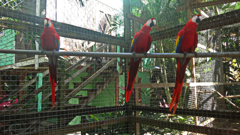 photo 1464526