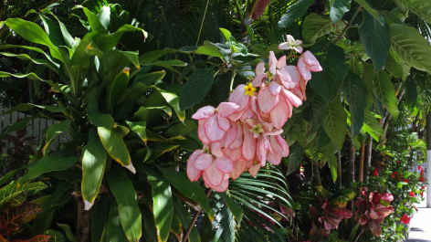 photo 1464530