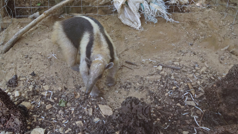 photo 1464560
