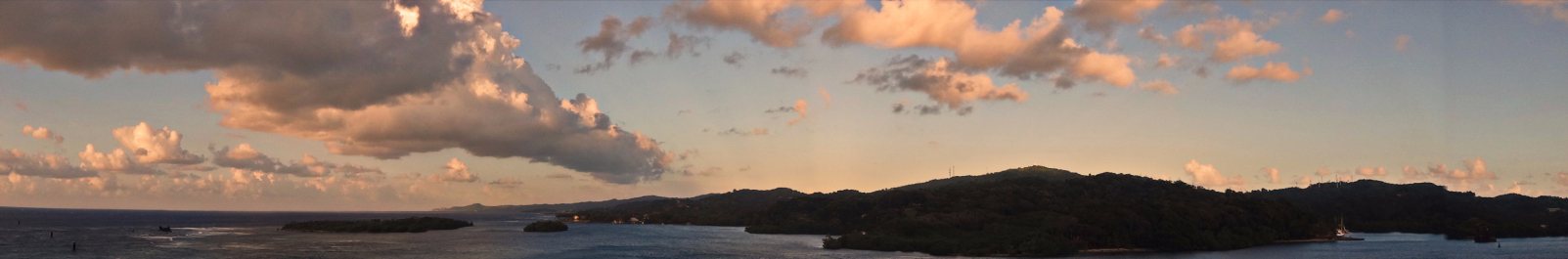 photo 1464563