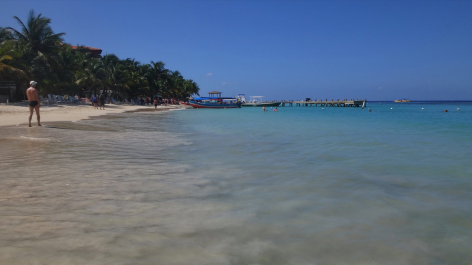 photo 1464564