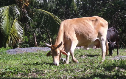 photo 1464567