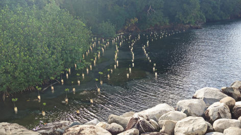photo 1464591