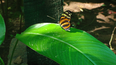 photo 1464595