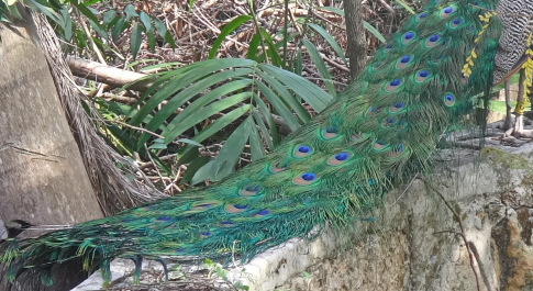 photo 1450342
