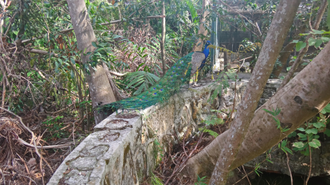 photo 1450343