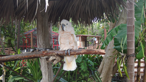 photo 1464403