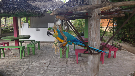 photo 1464405