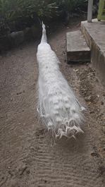 photo 1464406