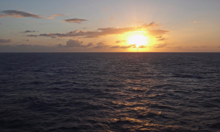 photo 1464460