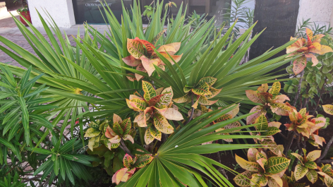 photo 1464742
