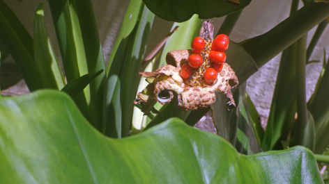 photo 1464743