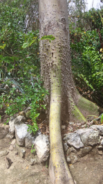 photo 1464778