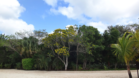 photo 1464808