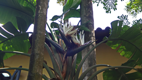 photo 1464487