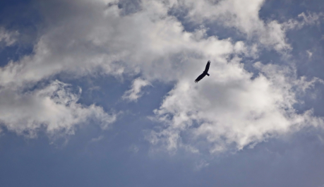 photo 1464489