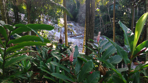 photo 1464496