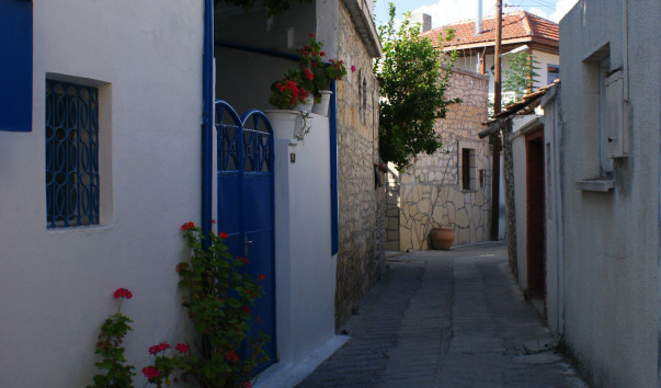 DSC00235