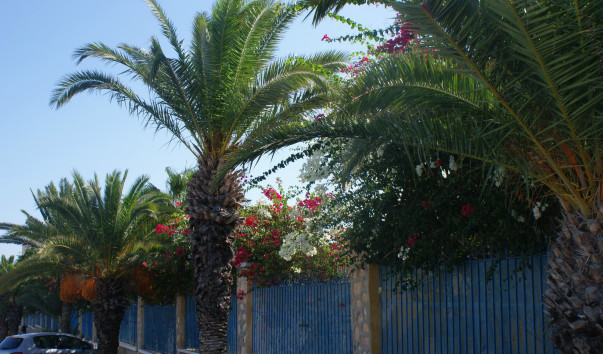 DSC01544