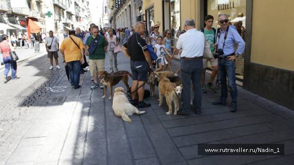 photo 887622
