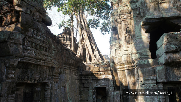 photo 289793