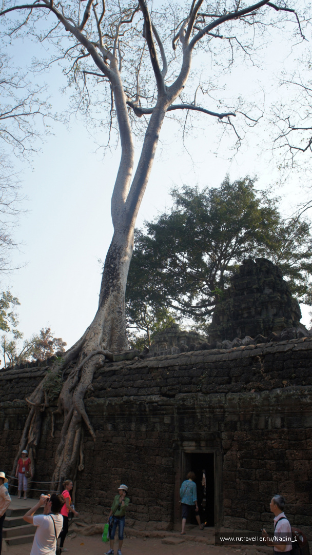 photo 289795