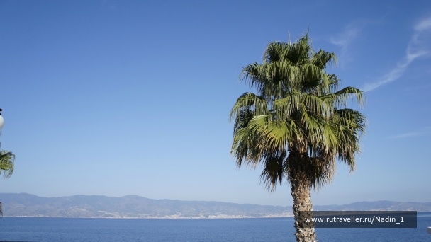 photo 887918